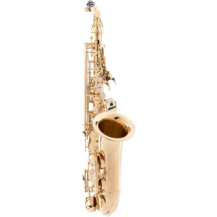 Etude Education Series Student Alto Saxophone Outfit, Lacquer