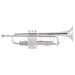 Strauss 6500S Intermediate Silver Trumpet Outfit w/ Fitted Case and Mouthpiece-Dirt Cheep