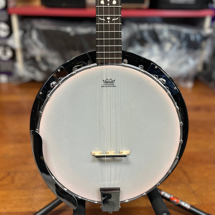 USED Danville BJ-24 5-String Banjo w/ Bag