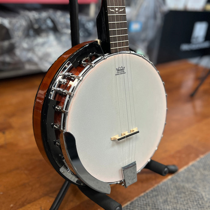 USED Danville BJ-24 5-String Banjo w/ Bag