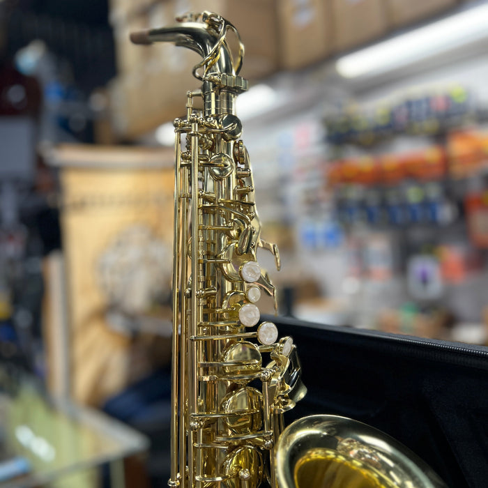 USED Rossetti Student Alto Saxophone Outfit (SL040522010)