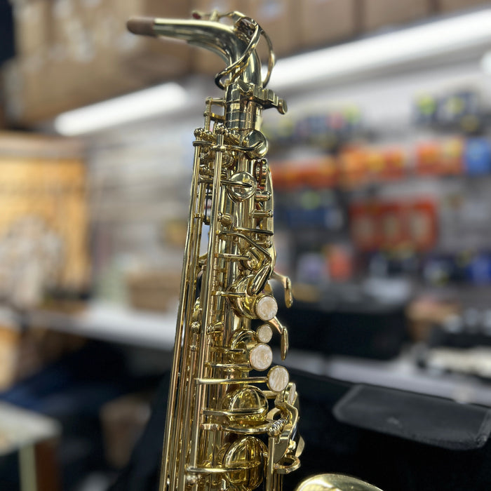 USED Strauss 6300 Alto Saxophone Outfit, Serial (#ST042118027)